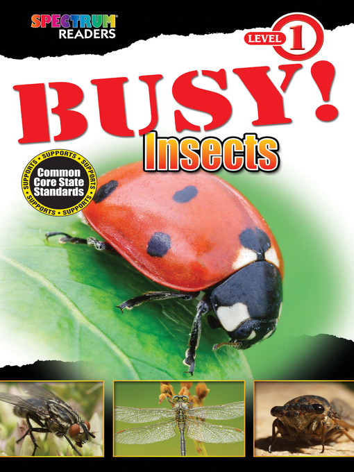 Title details for BUSY! Insects by Lisa Kurkov - Wait list